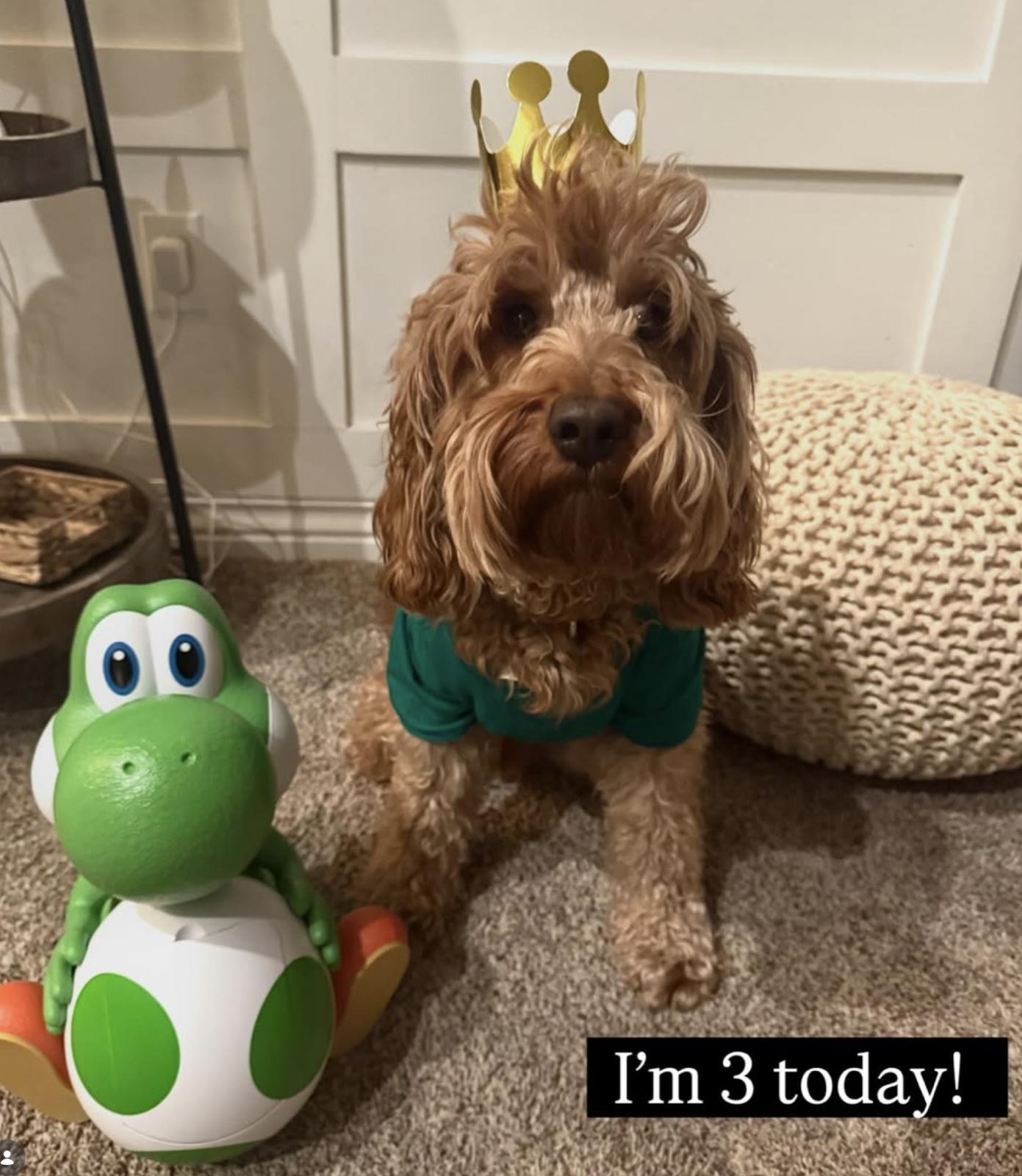 Yoshi