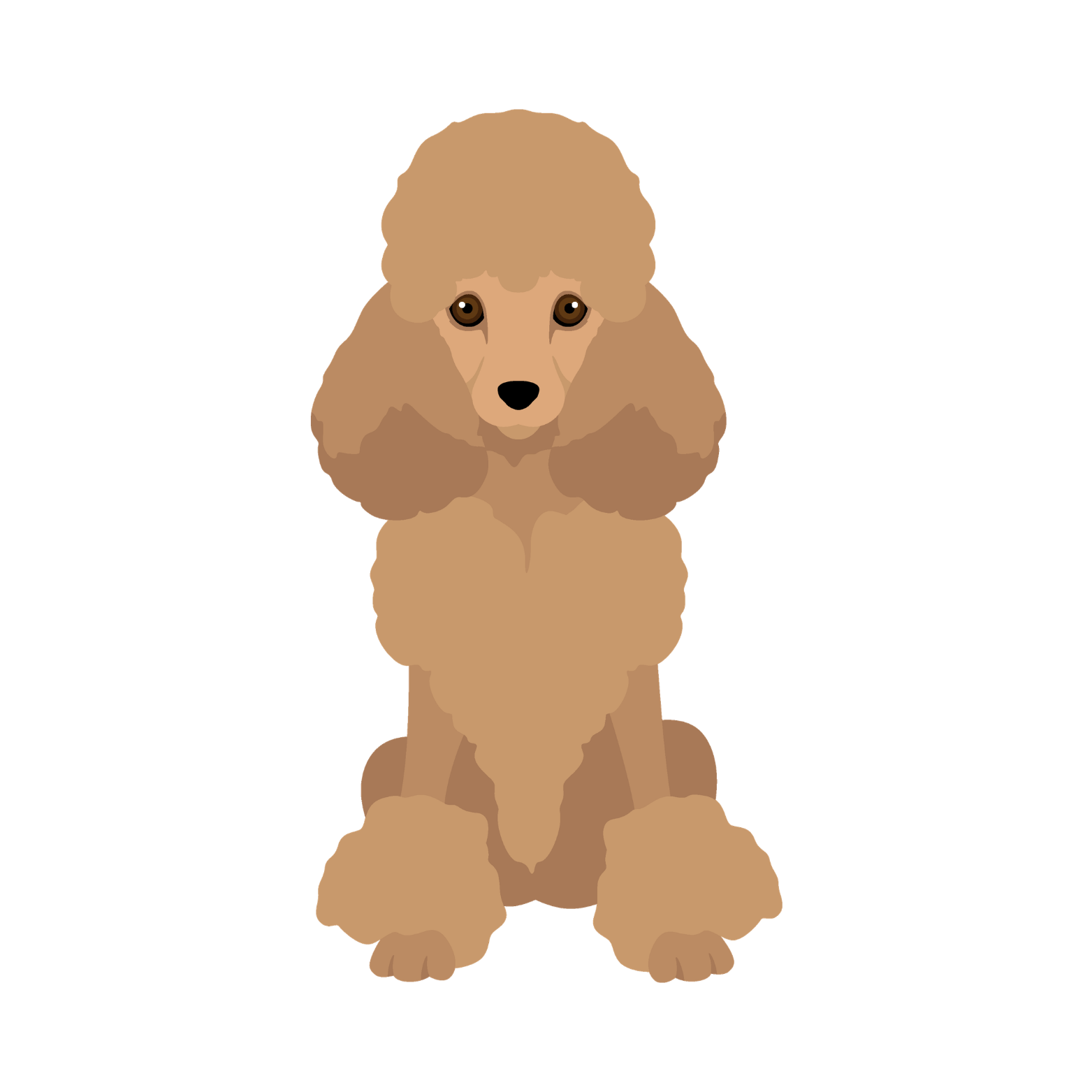 Poodle